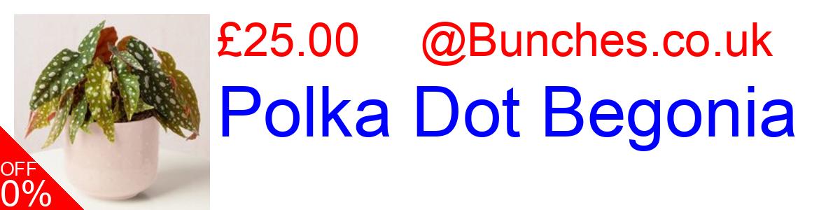 7% OFF, Polka Dot Begonia £25.95@Bunches.co.uk